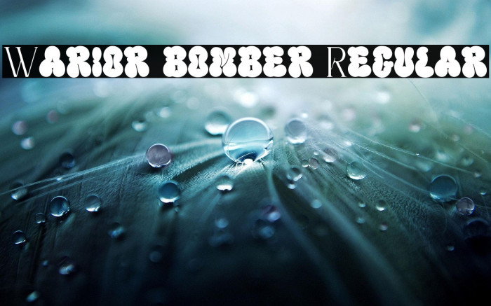 Warior bomber Regular Example 3