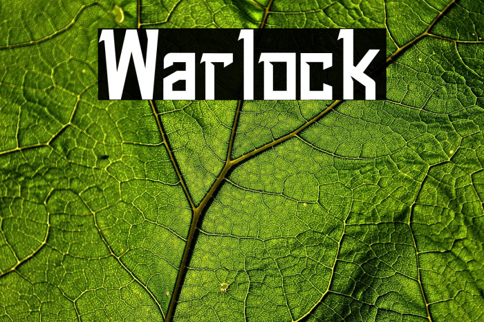 Warlock Example 1