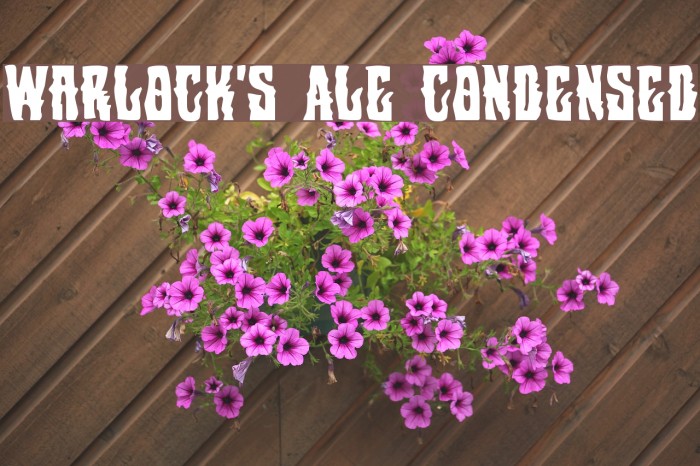 Warlock's Ale Condensed Example 3