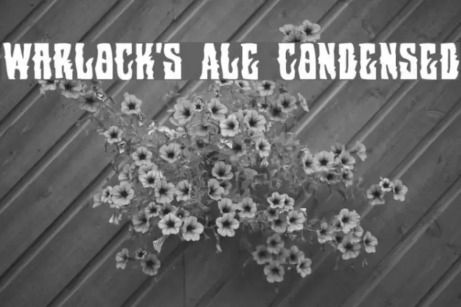 Warlock's Ale Condensed Font examples