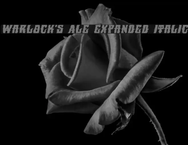 Warlock's Ale Expanded Italic Font examples