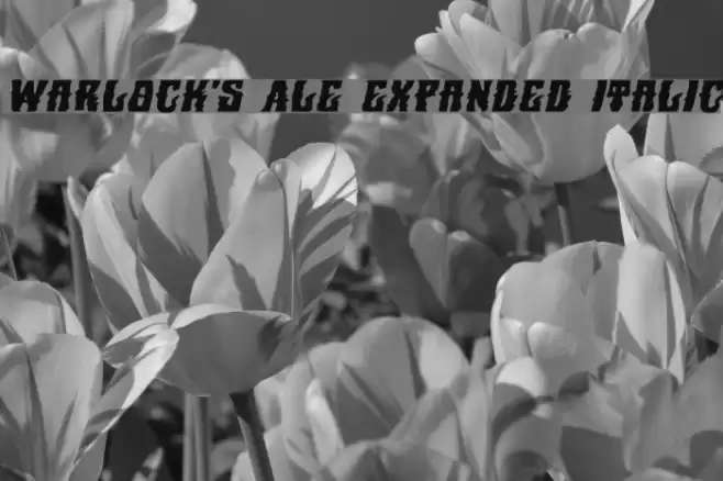 Warlock's Ale Expanded Italic Font examples