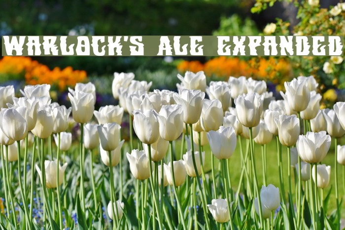 Warlock's Ale Expanded Example 1