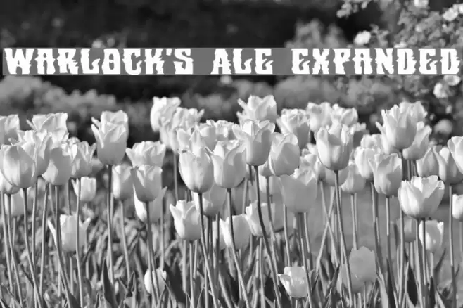 Warlock's Ale Expanded Font examples