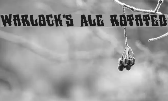 Warlock's Ale Rotated Font examples