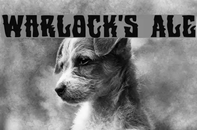 Warlock's Ale Font examples