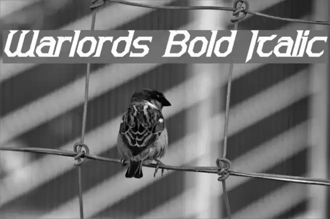 Warlords Bold Italic Schriftart examples