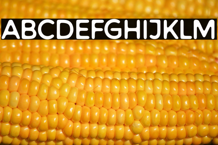 Warlow Sans Example 3