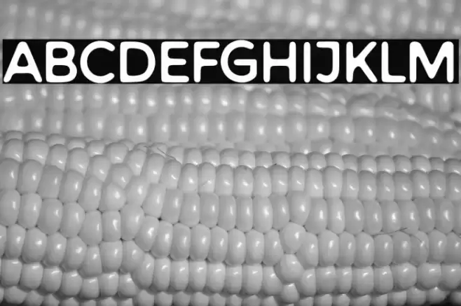 Warlow Sans Font examples