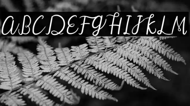 Warm Snow Font examples