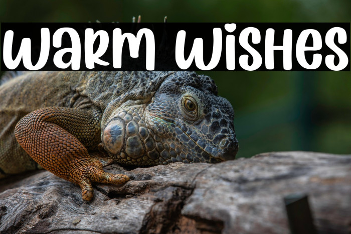 Warm Wishes Example 1