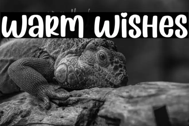 Warm Wishes Font examples
