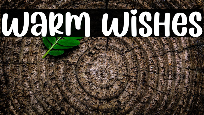 Warm Wishes Example 2