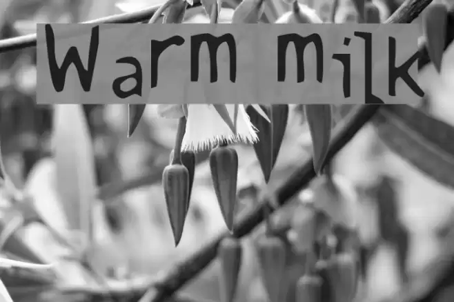 Warm milk フォント examples