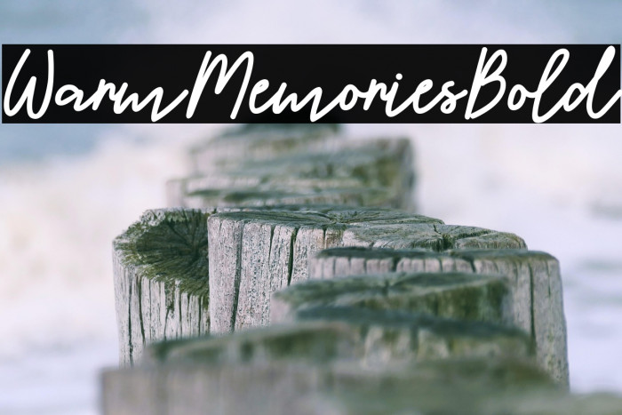 WarmMemoriesBold Example 1