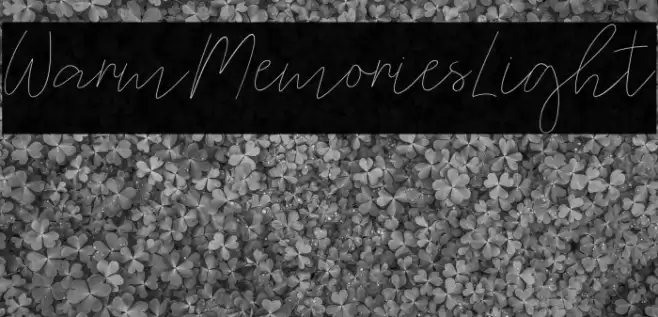 WarmMemoriesLight Caratteri examples