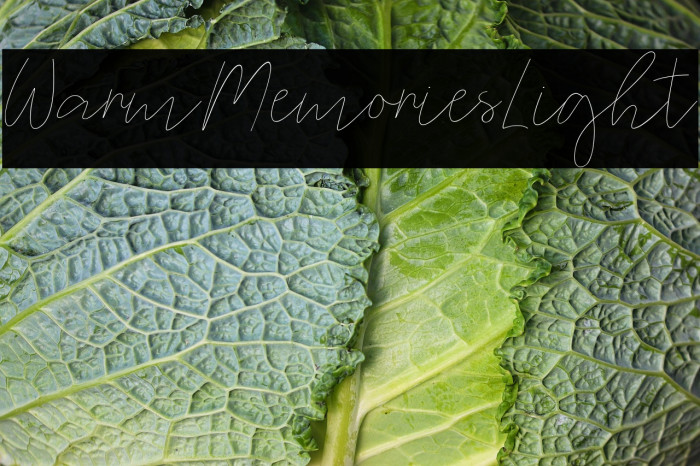 WarmMemoriesLight Example 3