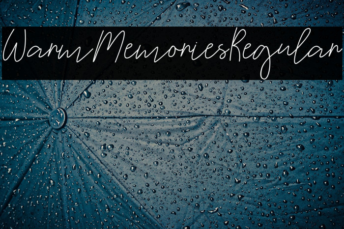 WarmMemoriesRegular Example 2