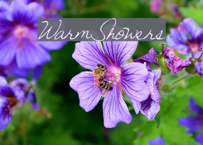 WarmShowers Example 1