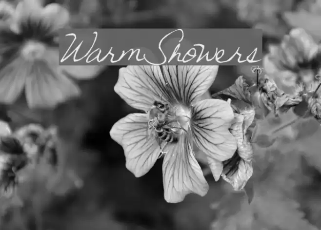 WarmShowers Font examples