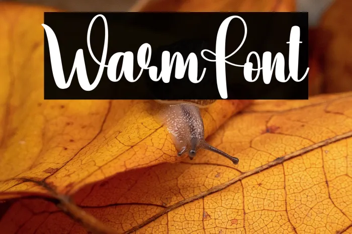 Warm Example 3