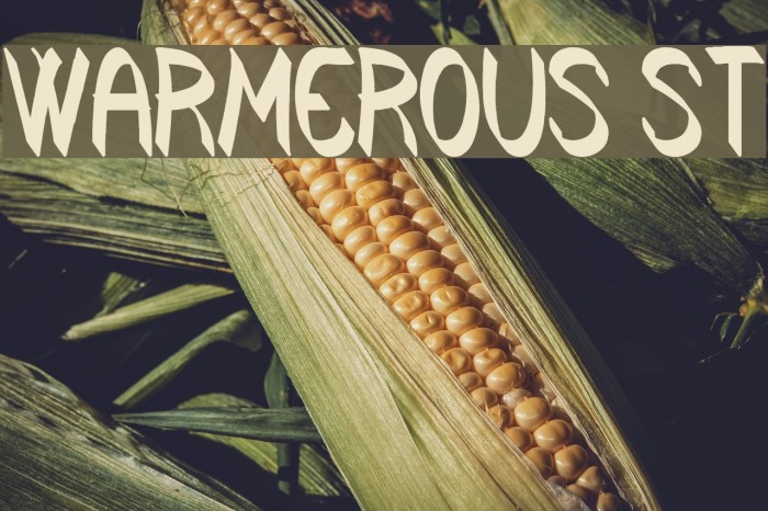 Warmerous St Example 3