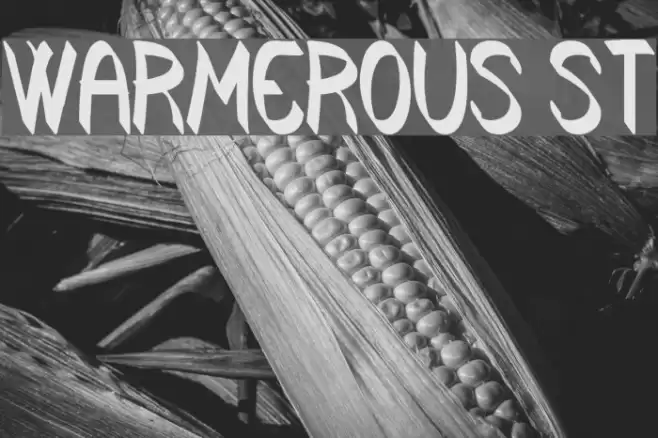 Warmerous St Font examples