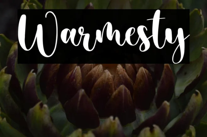 Warmesty Example 2