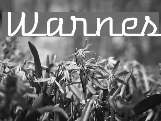 Warnes Font examples