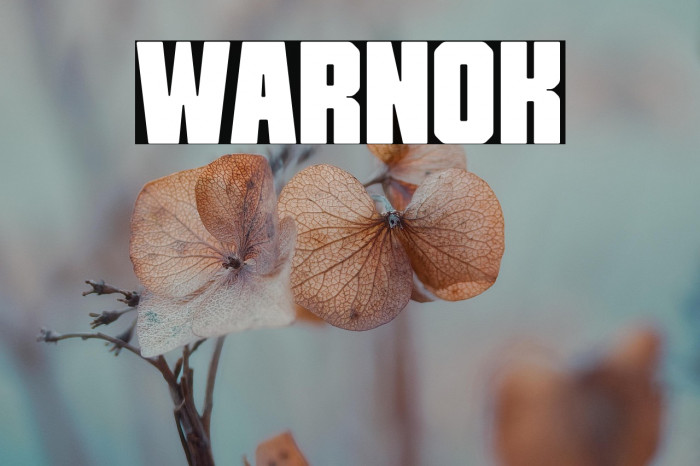 Warnok Example 2