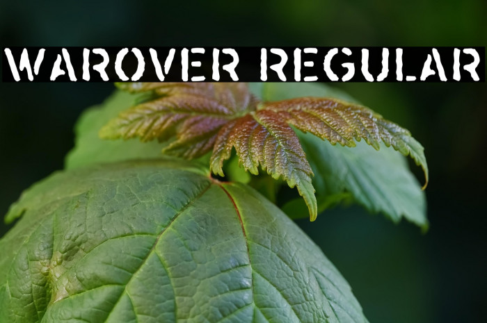 Warover Regular Example 3