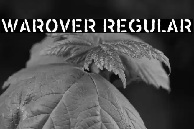 Warover Regular फ़ॉन्ट examples