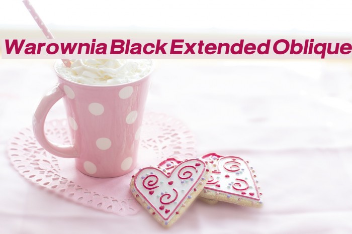 Warownia Black Extended Oblique Font examples