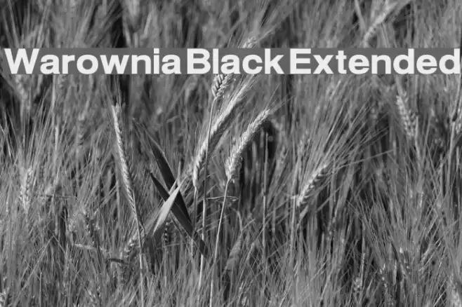 Warownia Black Extended Font examples