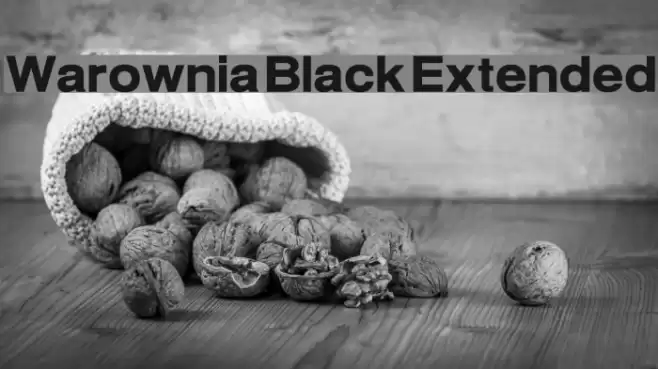 Warownia Black Extended Font examples