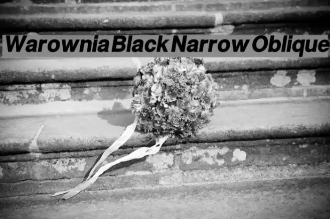 Warownia Black Narrow Oblique examples