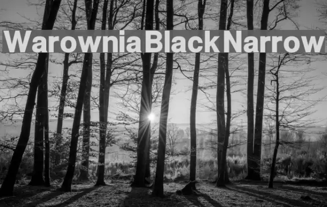 Warownia Black Narrow Font examples