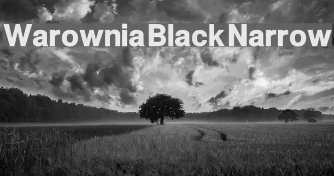 Warownia Black Narrow Font examples