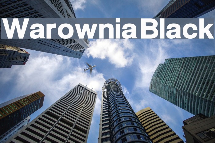 Warownia Black Font examples