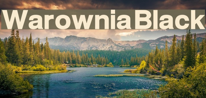Warownia Black Font examples