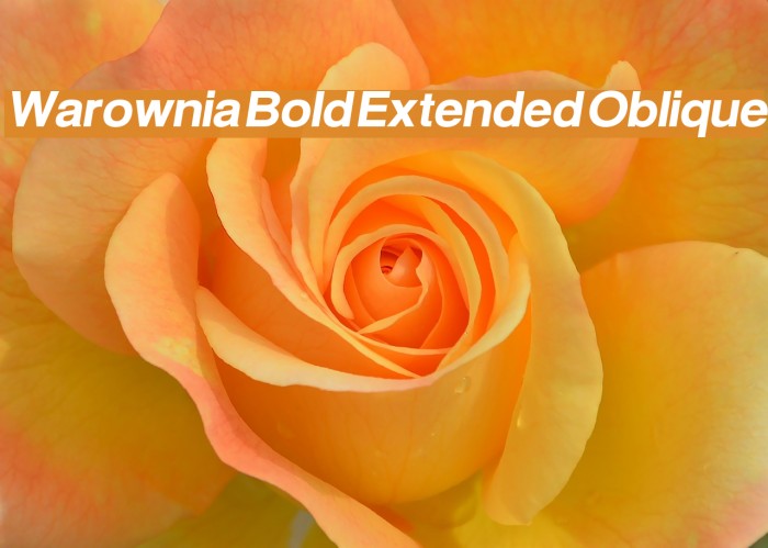 Warownia Bold Extended Oblique Font examples
