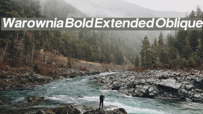 Warownia Bold Extended Oblique Font examples