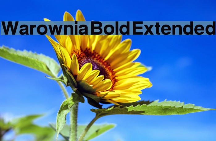 Warownia Bold Extended Font examples