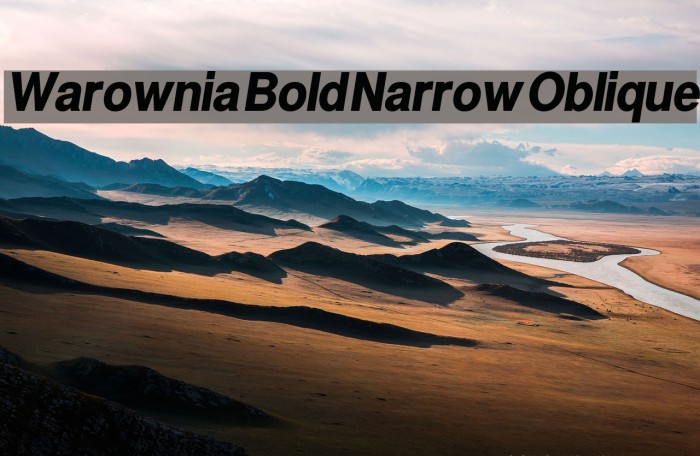 Warownia Bold Narrow Oblique Font examples