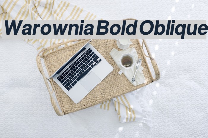 Warownia Bold Oblique Font examples