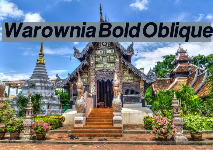 Warownia Bold Oblique Font examples