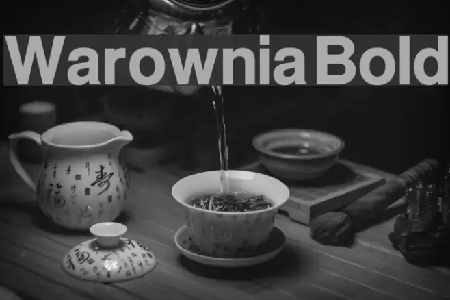 Warownia Bold Font examples