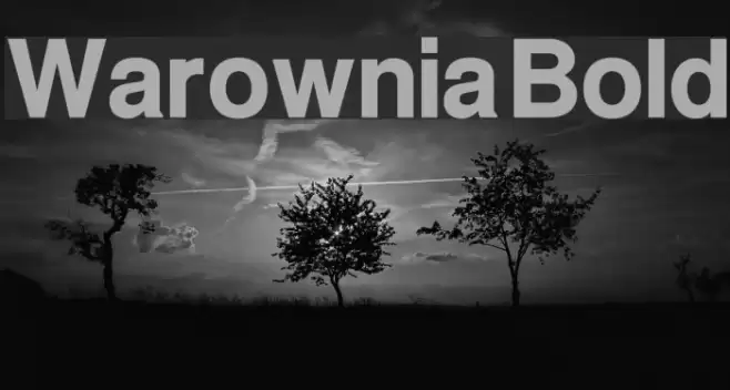 Warownia Bold Font examples