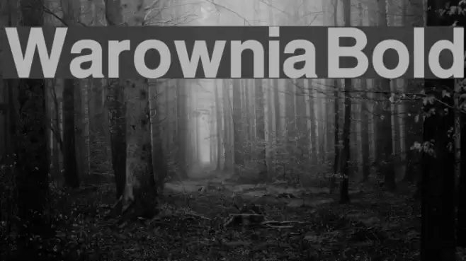 Warownia Bold Font examples