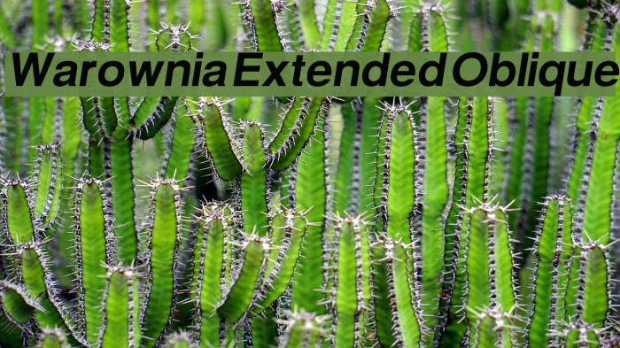 Warownia Extended Oblique Font examples